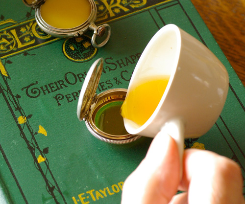 ������� ���� ������ ������