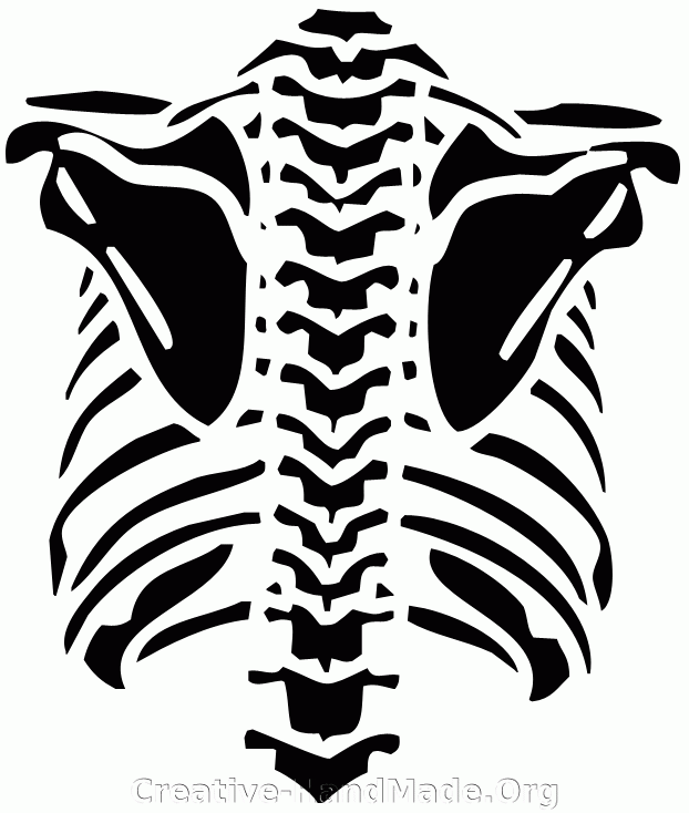  Skeleton Rib Cage Template Printable Printable Templates