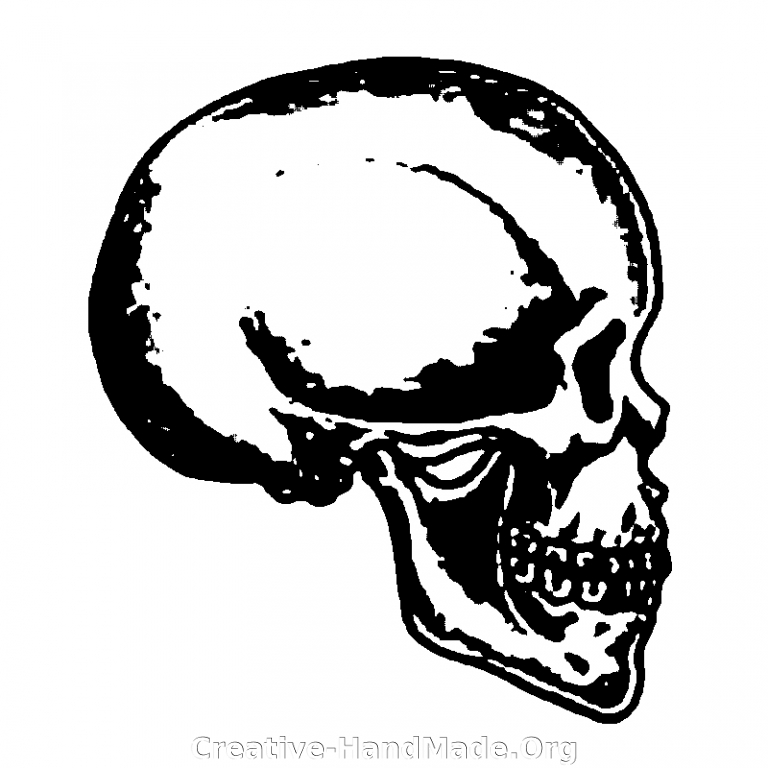 skullprofile0qe
