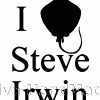 heart-steve-irwin