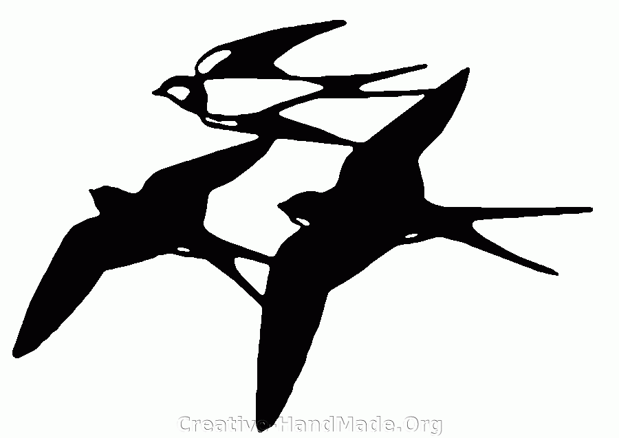 3-swallows