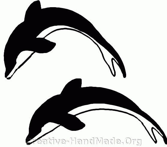 double+dolphin