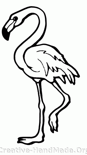 flamingo+3