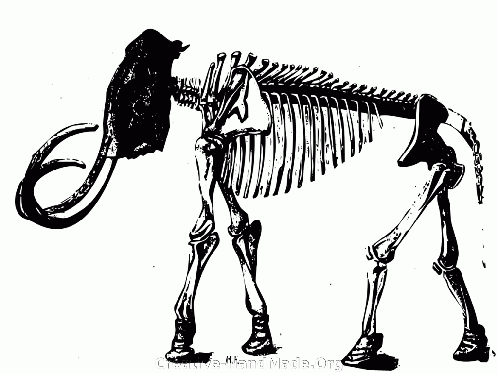 mammoth-skeleton-2