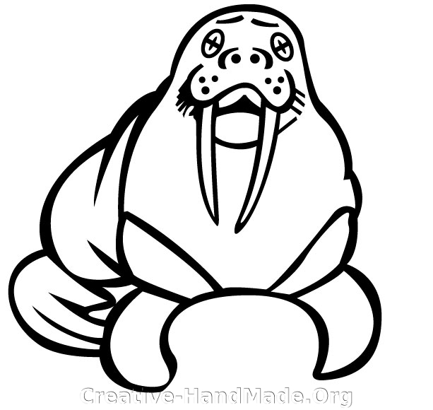 walrus+1