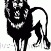 lion-rawr