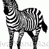 zebra+2
